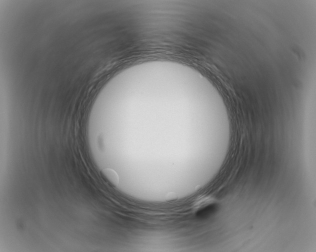 X0000112820705200908211000