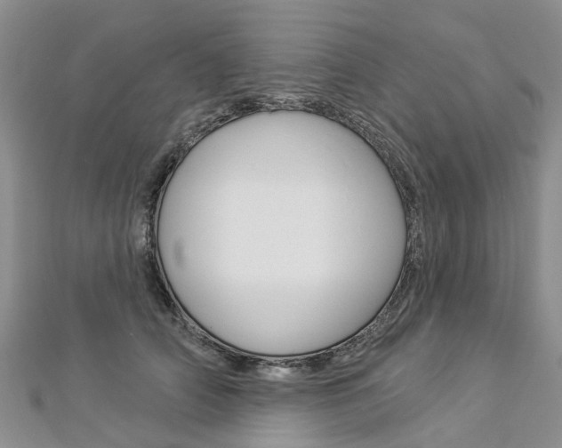 X0000112820706200908211000
