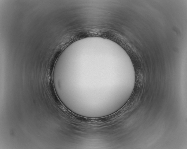 X0000112820707200908211000