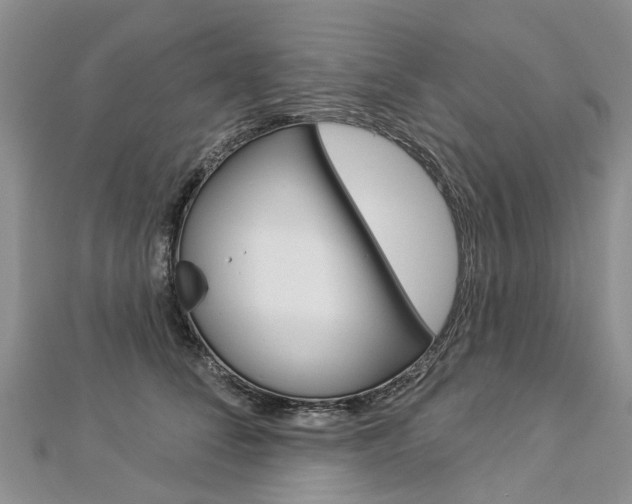 X0000112820708200908211000
