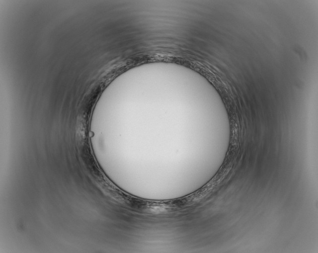 X0000112820710200908211000