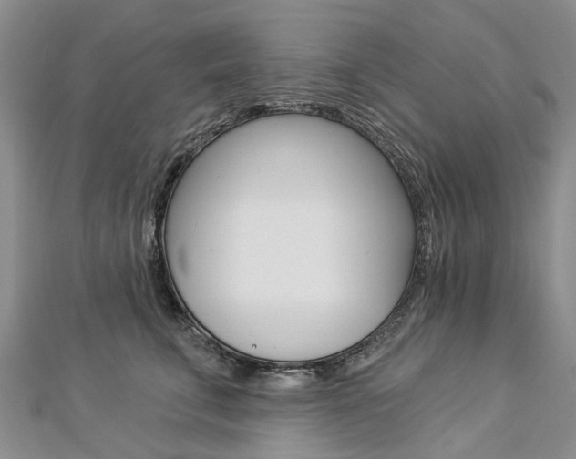 X0000112820711200908211000