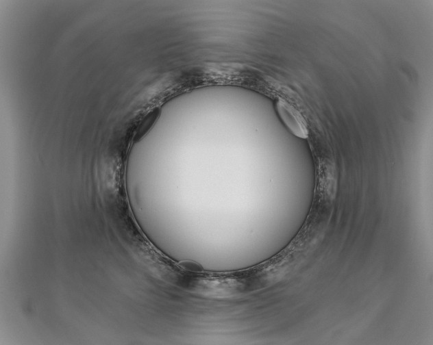 X0000112820712200908211000