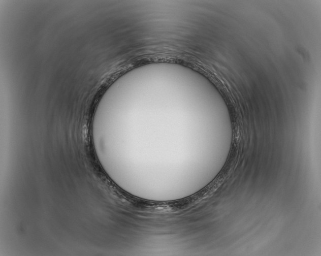 X0000112820715200908211000