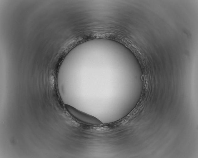 X0000112820716200908211000