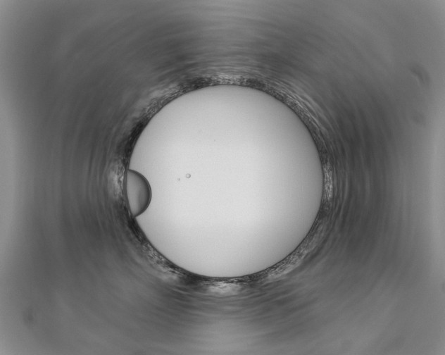 X0000112820718200908211000