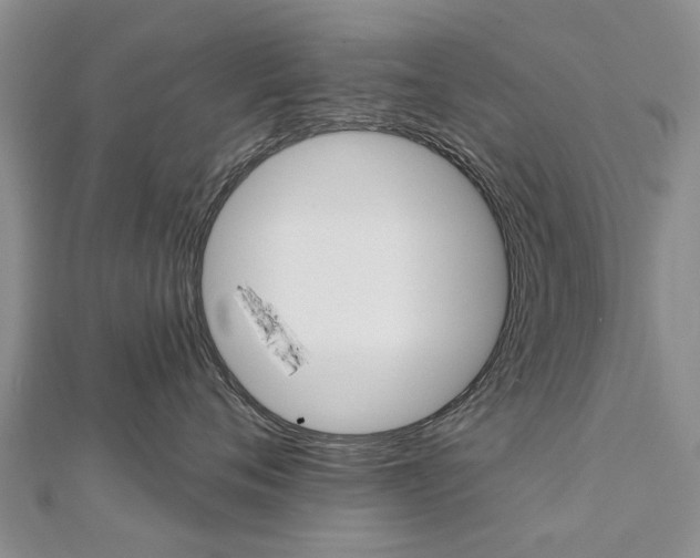 X0000112820720200908211000
