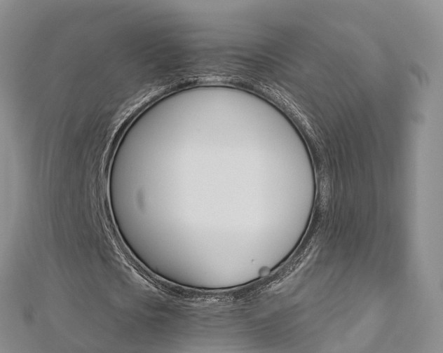 X0000112820721200908210959