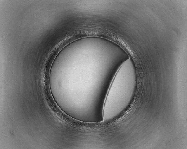 X0000112820722200908210959
