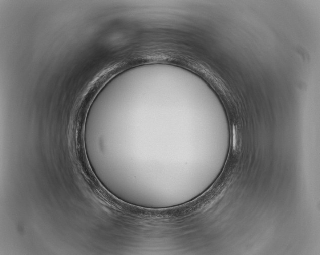 X0000112820723200908210959