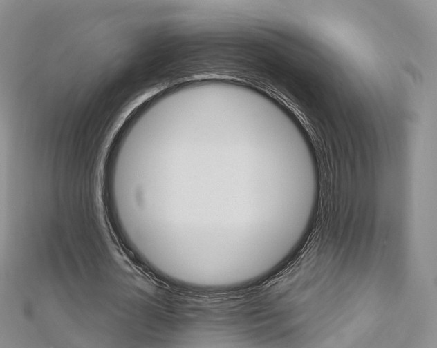 X0000112820724200908210959
