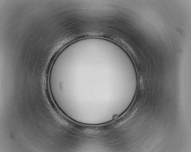 X0000112820725200908210959