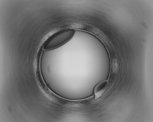 X0000112820726200908210959