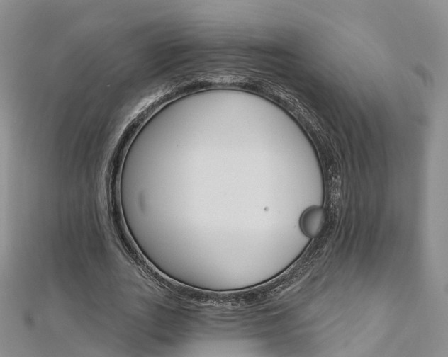 X0000112820727200908210959
