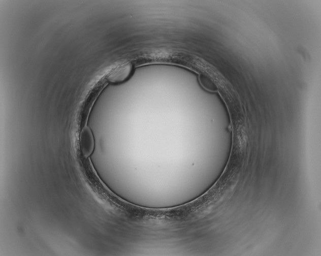 X0000112820728200908210959
