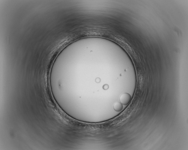 X0000112820729200908210959