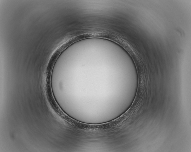 X0000112820730200908210959