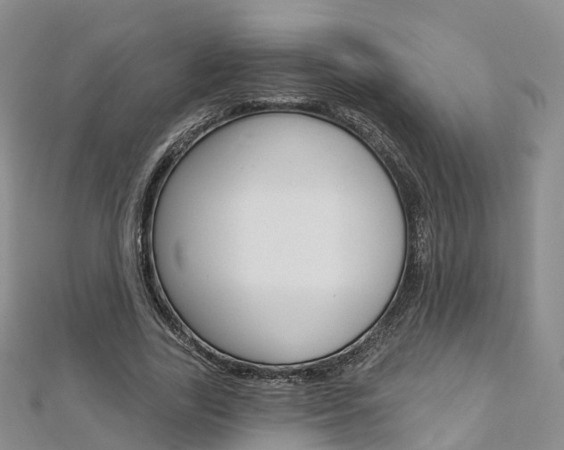 X0000112820731200908210959