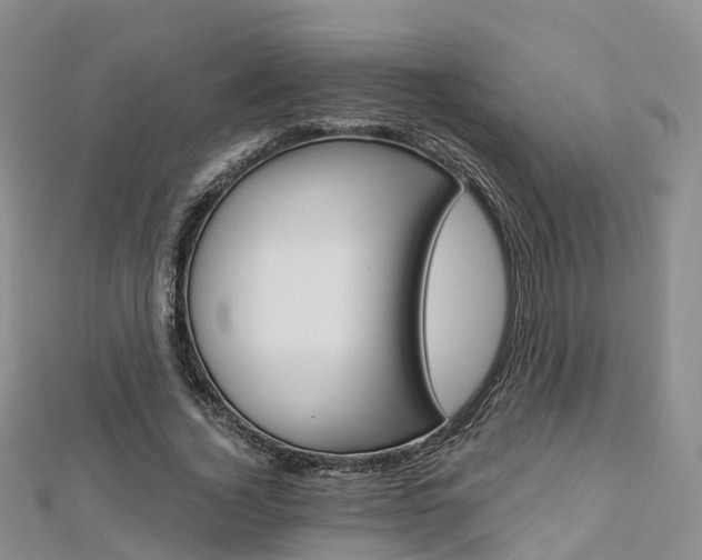 X0000112820732200908210959