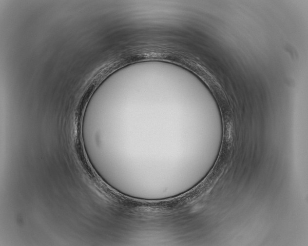 X0000112820733200908210959