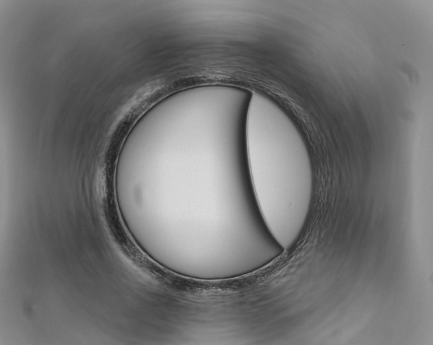 X0000112820734200908210959