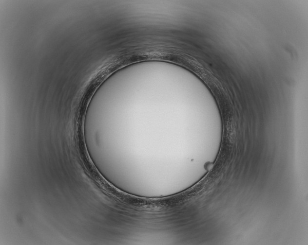 X0000112820735200908210959