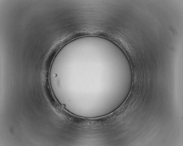 X0000112820736200908210959
