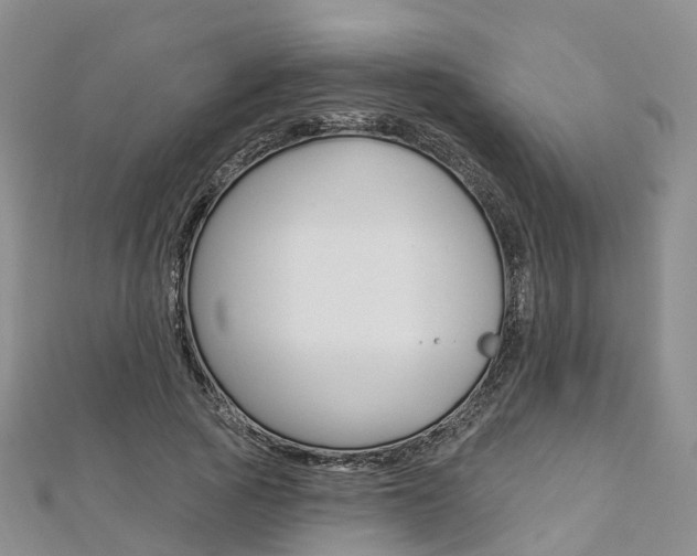 X0000112820737200908210959
