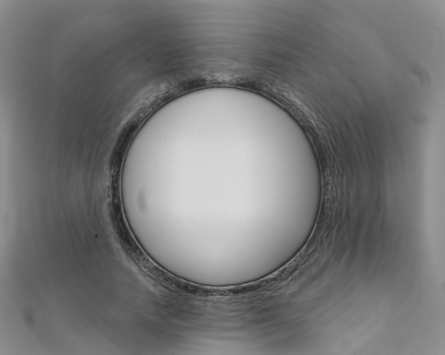 X0000112820738200908210959