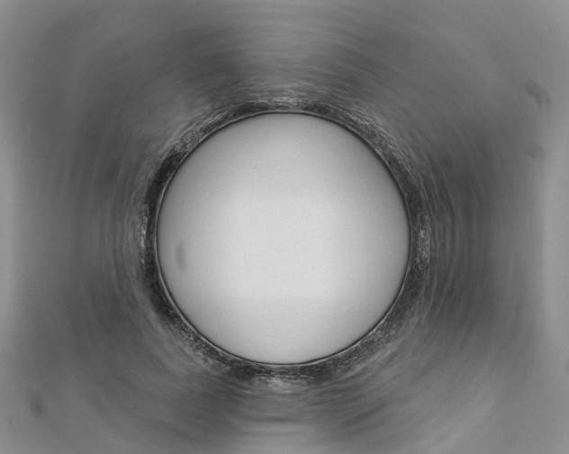 X0000112820739200908210959
