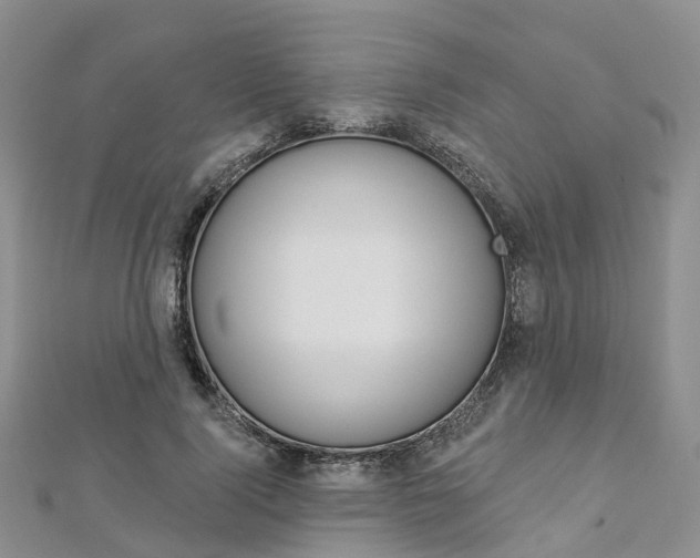 X0000112820740200908210959