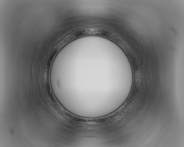 X0000112820741200908210959