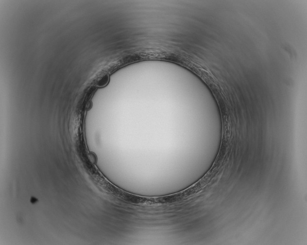 X0000112820742200908210959