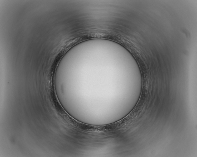 X0000112820743200908210959