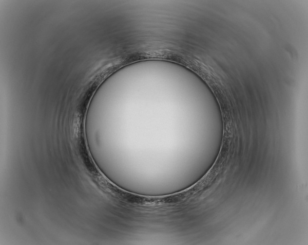 X0000112820744200908211000