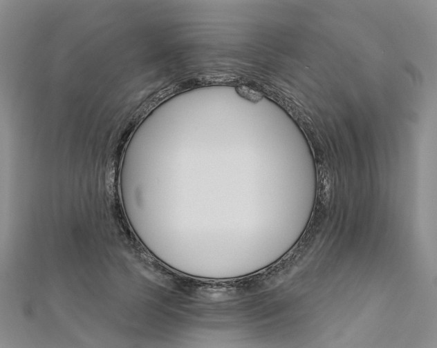 X0000112820745200908211000