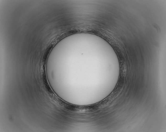 X0000112820746200908211000
