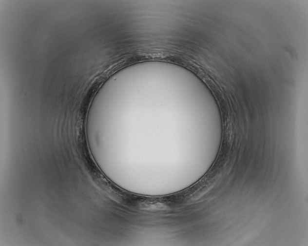 X0000112820747200908211000