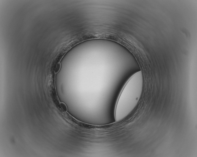 X0000112820748200908211000