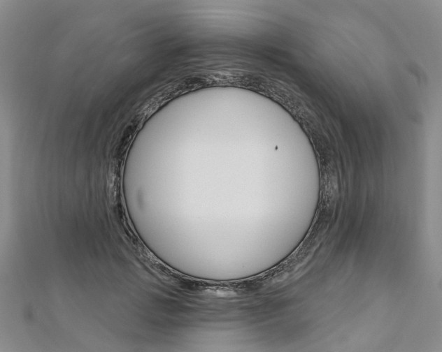 X0000112820749200908211000