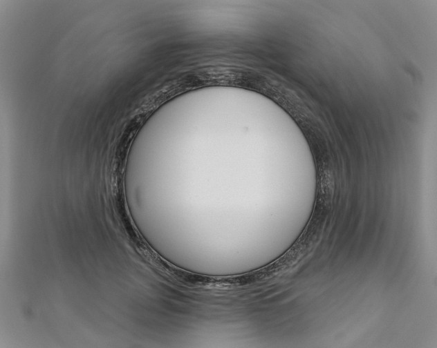 X0000112820751200908211000