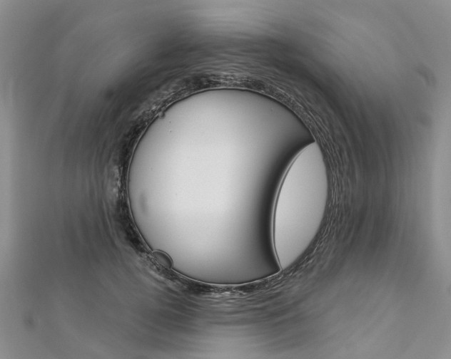 X0000112820752200908211000