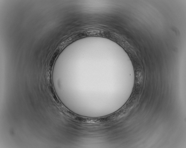 X0000112820753200908211000