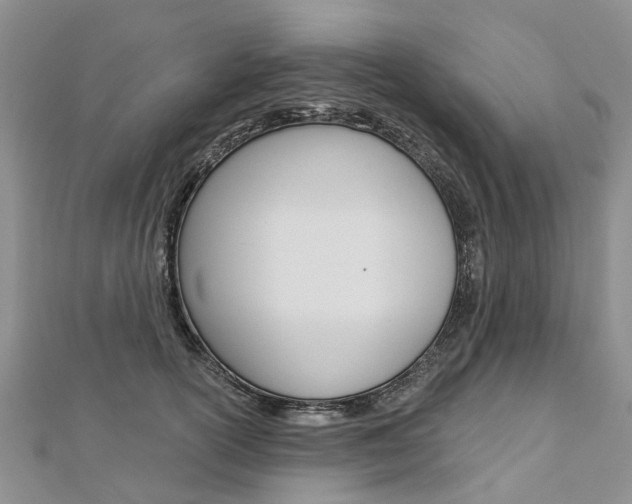 X0000112820754200908211000