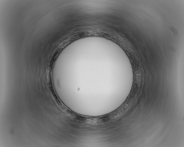 X0000112820757200908211000