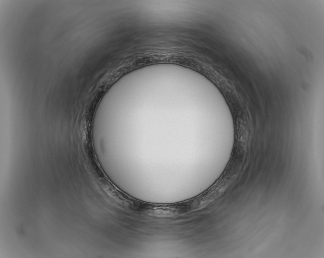 X0000112820758200908211000