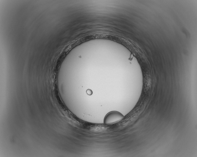 X0000112820759200908211000