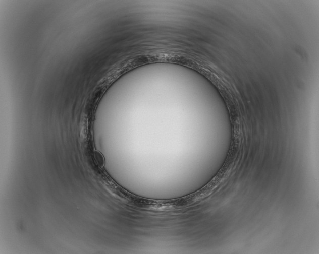 X0000112820760200908211000