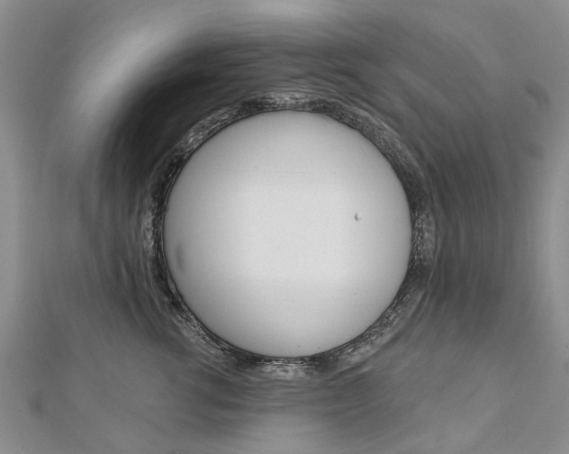X0000112820762200908211000