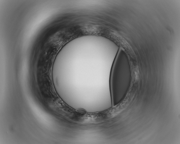 X0000112820764200908211000